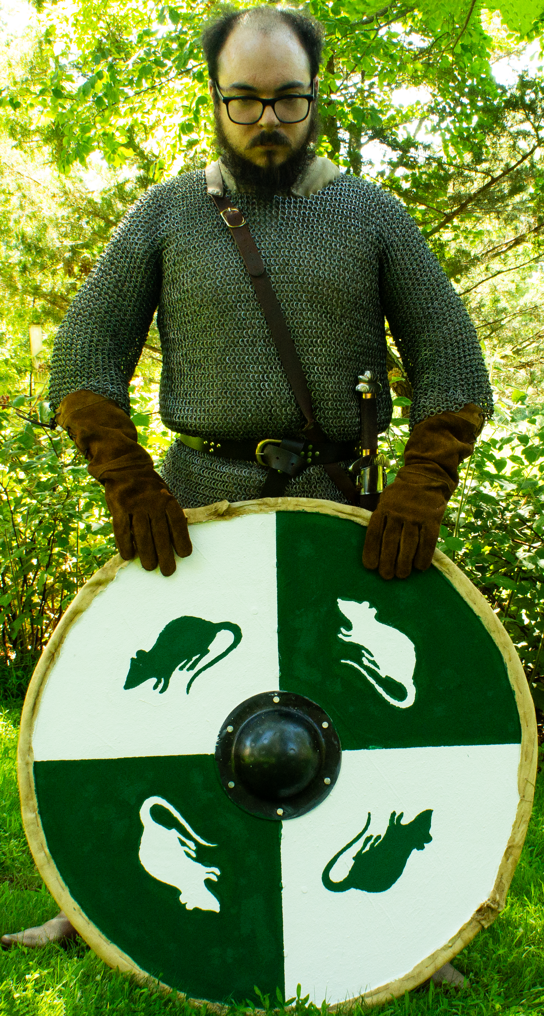 A Viking warrior standing behind his shield, half green and half white broken into quadrants, each with a rat of the opposing color